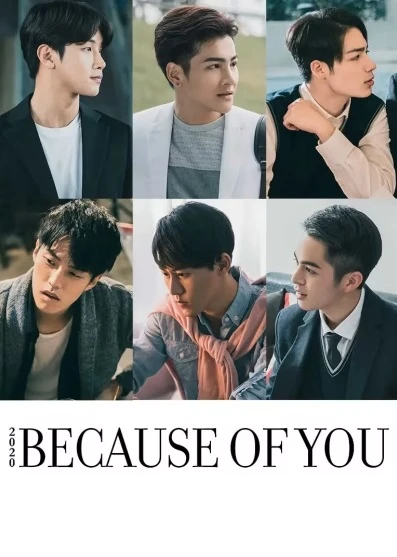 Phim Bởi Vì Yêu - Because Of You (2020)