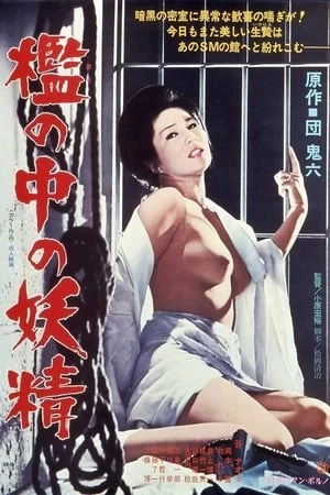 Phim Cổ Tích Trong Lồng - Fairy in a Cage (1977)