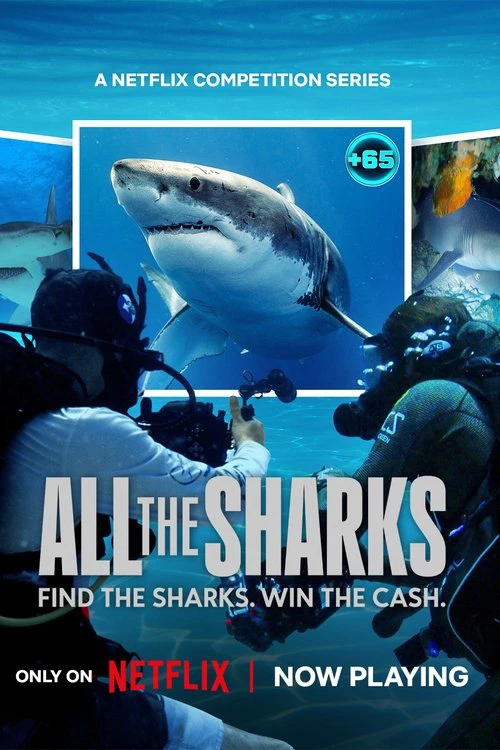 Phim Đi tìm cá mập - All the Sharks (2025)
