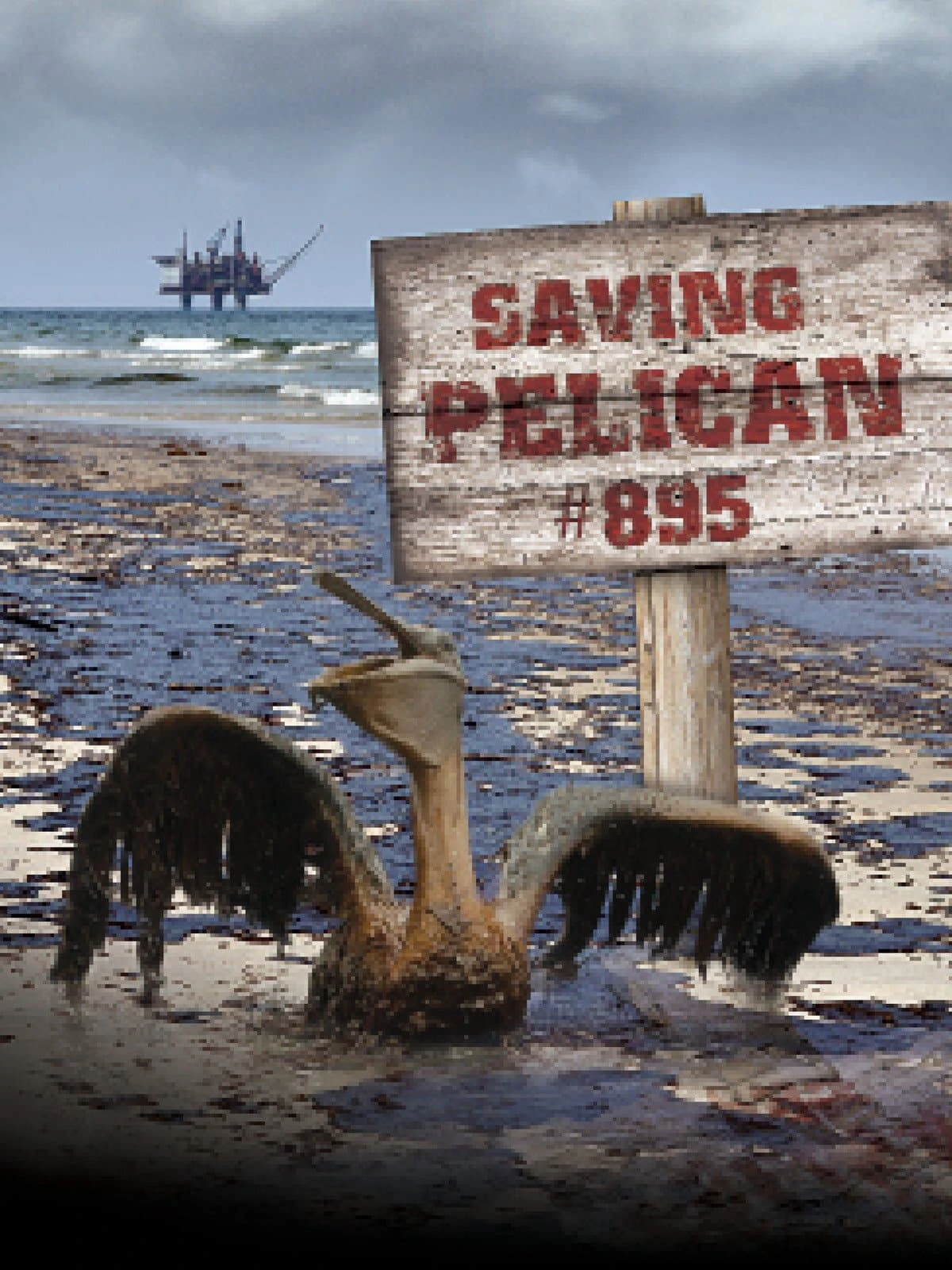 Phim Giải Cứu Chú Bồ Nông Thứ 895 - Saving Pelican 895 (2011)
