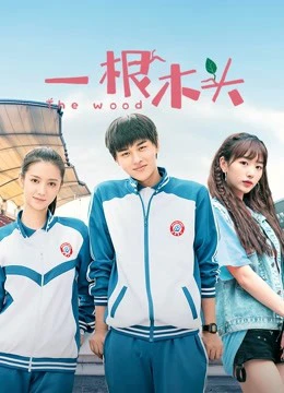 Phim Một Khúc Gỗ Mùa 1 - c (2020)